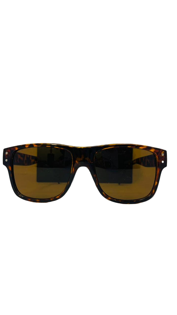 Sleek Aviator Frame Shades